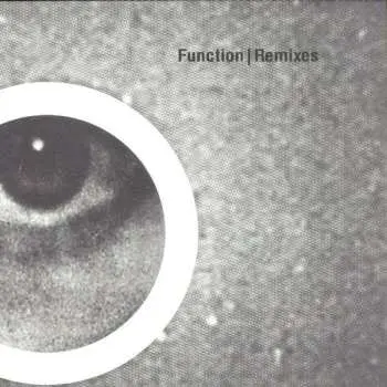 2LP Function: Remixes