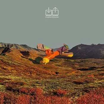 2LP/CD Funkstörung: Funkstörung DLX | LTD