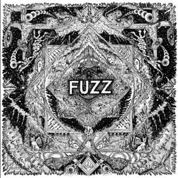 2LP Fuzz: II