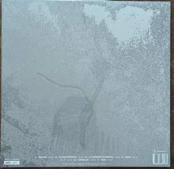 LP Gaia Banfi: La Maccaia