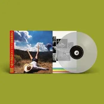 LP Geese: 3D Country CLR | LTD