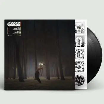 LP Geese: Projector