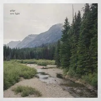 2LP Gidge: New Light