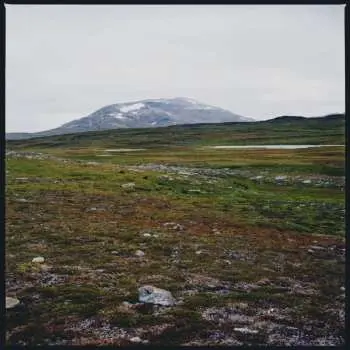 LP Gidge: Tundra