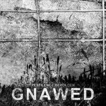 CD Gnawed: Pestilence Beholden