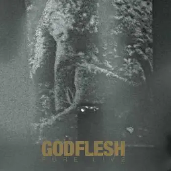 2LP Godflesh: Pure : Live LTD | CLR