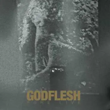 CD Godflesh: Pure : Live LTD