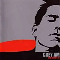 CD The Grey AM: With Matches Lit