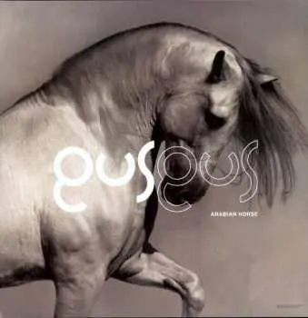 2LP Gusgus: Arabian Horse