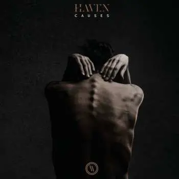 CD Haven: Causes
