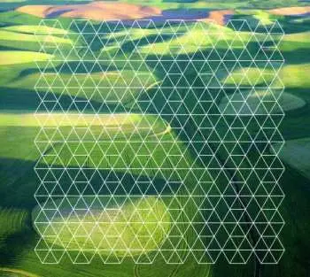 CD Henry Plotnick: Fields