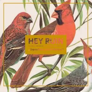 CD Hey Ruin: Irgendwas mit Dschungel