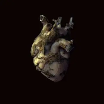 CD Highasakite: Uranium Heart