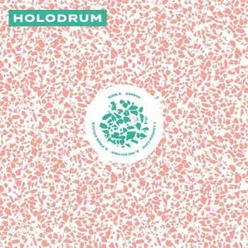 LP Holodrum: Holodrum LTD