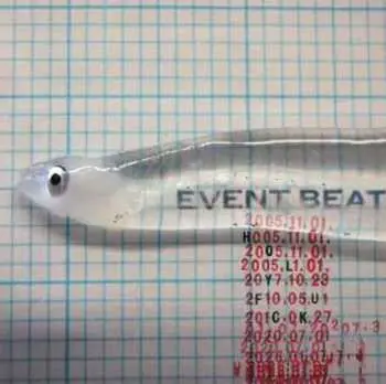LP Holy Fuck: Event Beat CLR | LTD