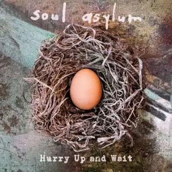 2LP Soul Asylum: Hurry Up And Wait