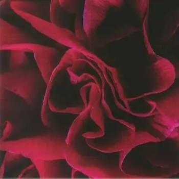 LP Ian Boddy: Coil LTD