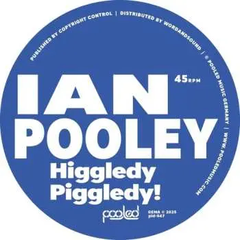 LP Ian Pooley: Higgledy Piggledy