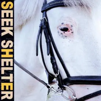 CD Iceage: Seek Shelter