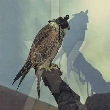 CD Iceage: You're Nothing