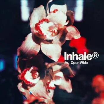LP Inhaler: Open Wide CLR | LTD