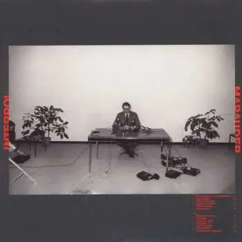 LP Interpol: Marauder