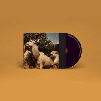 CD Interpol: Our Love To Admire