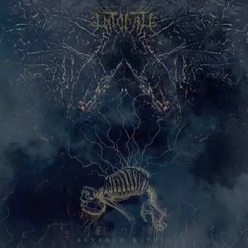 LP Intonate: Severed Within CLR