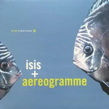 LP ISIS: In the Fishtank 14