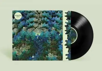2LP IzangoMa: Ngo Ma