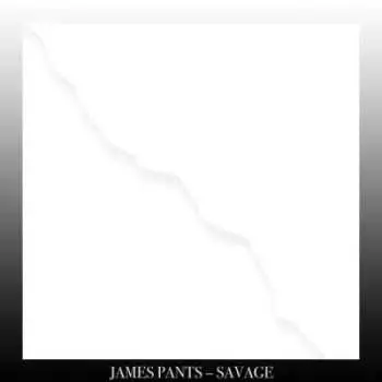 LP James Pants: Savage
