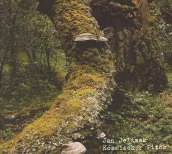 LP Jan Jelinek: Kosmischer Pitch (reissue)