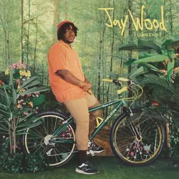 LP JayWood: Slingshot CLR | LTD