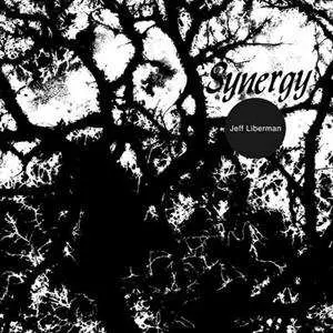 LP Jeffery Liberman: Synergy
