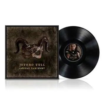 LP Jethro Tull: Curious Ruminant