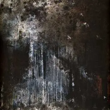 LP Joachim Spieth: Terrain LTD