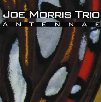 CD Joe Morris Trio: Antennae