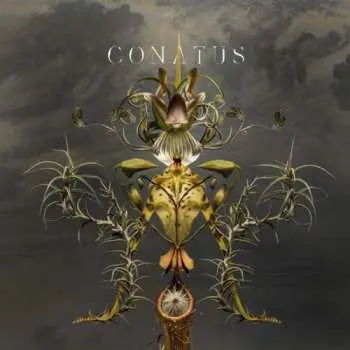2LP Joep Beving: Conatus