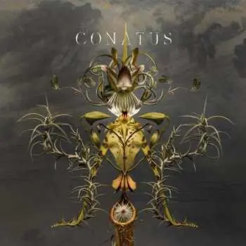 CD Joep Beving: Conatus DLX