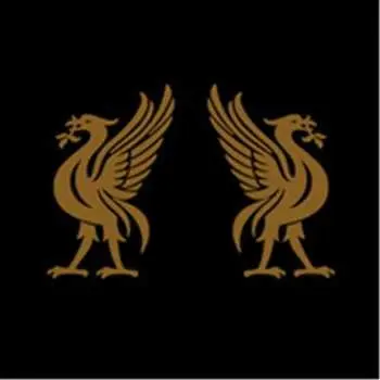 CD Joey Cape: Liverbirds