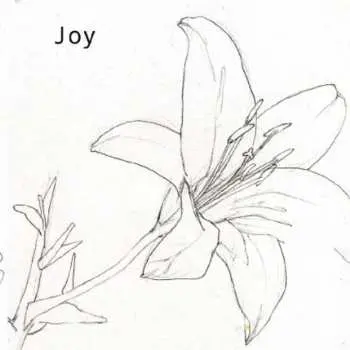 CD Joy: Joy