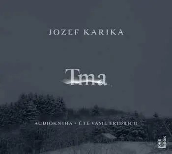 Tma (audiokniha - čte Vasil Fridrich) - Jozef Karika
