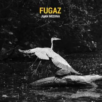 CD Juan Medina: Fugaz