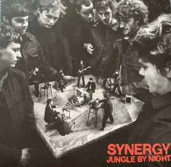 2LP Jungle By Night: Synergy
