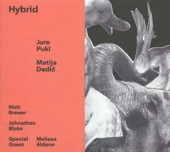 CD Jure Pukl: Hybrid