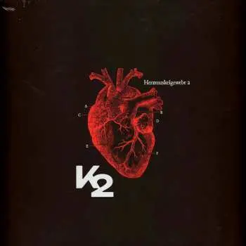 LP K2: Herzmuskelgewebe 2