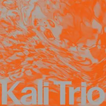 CD Kali Trio: The Playful Abstract