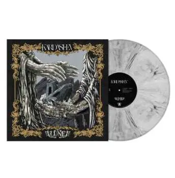LP Kardashev: Alunea