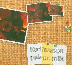 CD Karl Larsson: Pale As Milk
