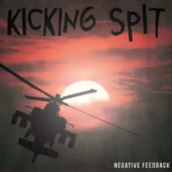 LP Kicking Spit: Negative Feedback